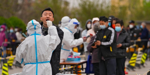 A health worker in protective suit takes a throat swab sample from a resident at a coronavirus testing site, Wednesday, April 6, 2022, in Beijing.