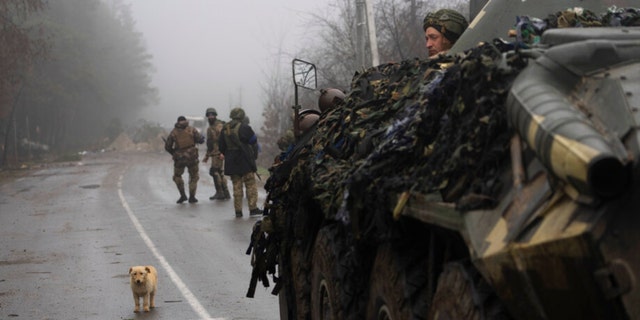 1 Nisan 2022 Cuma, Ukrayna ordusu askerleri, Kiev, Ukrayna'nın eteklerindeki köylerden çekildikten sonra Rus birliklerinin olası kalıntılarını aramak için askeri bir taramaya katılırken, sokağın ortasında bir köpek görülüyor. 
