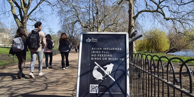 A sign at St James's Park warns of avian influenza, as the UK is faced with another outbreak. 