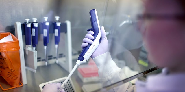 Microbiologist Anne Vandenburg-Carroll tests poultry samples collected from a farm located in a control area for the presence of avian influenza, or bird flu, at the Wisconsin Veterinary Diagnostic Laboratory at the University of Wisconsin-Madison on March 24, 2022 in Madison, Wisconsin. 