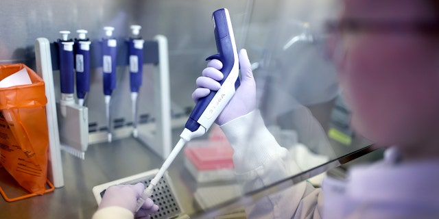 Microbiologist Anne Vandenburg-Carroll tests poultry samples collected from a farm located in a control area for the presence of avian influenza, or bird flu, at the Wisconsin Veterinary Diagnostic Laboratory at the University of Wisconsin-Madison on March 24, 2022 in Madison, Wisconsin.