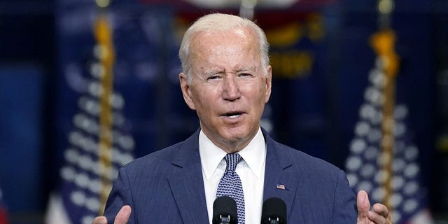 Biden’s story of child rape victim traveling for abortion ‘very difficult’ to prove, WaPo fact-checker says