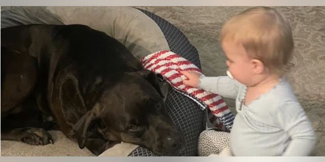 Murphy and Diva were found shot to death in Montgomery County Texas