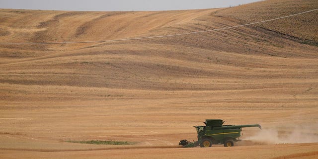 FILE - A combine harvests wheat, Aug. 5, 2021, near Pullman, Wash. How to prevent food insecurity and skyrocketing prices globally as Russia continues its war in Ukraine will be the marquee topic of discussion at the IMF and World Bank Spring Meetings in Washington. (AP Photo/Ted S. Warren, File)