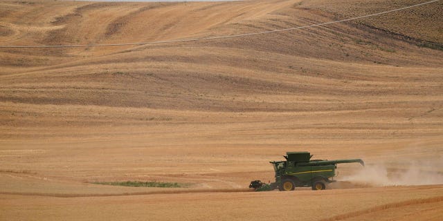 FILE - A combine harvests wheat, Aug. 5, 2021, near Pullman, Wash. How to prevent food insecurity and skyrocketing prices globally as Russia continues its war in Ukraine will be the marquee topic of discussion at the IMF and World Bank Spring Meetings in Washington. (AP Photo/Ted S. Warren, File)