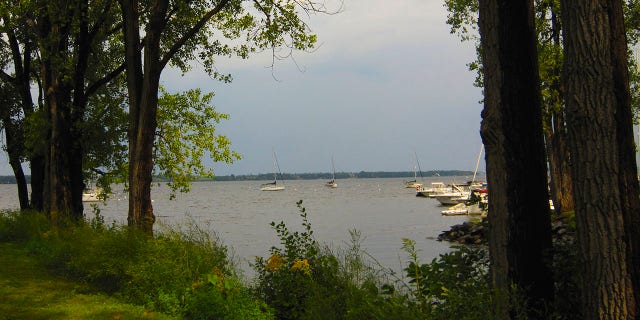 Officials discovered the round goby in Lake Champlain Basin in July 2021.