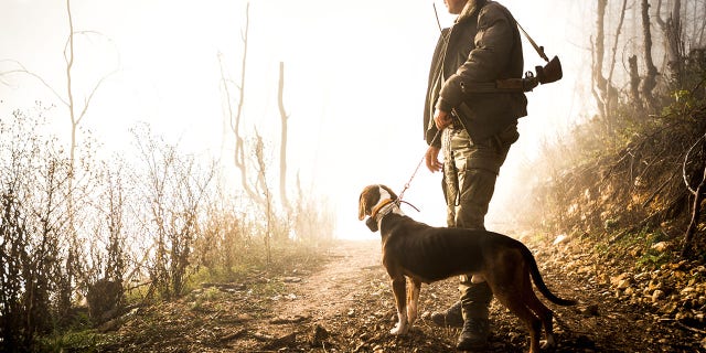 hunter and dog in the forest