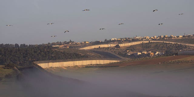 Storks fly over a section of Israel's separation barrier between the Israeli Kibbutz Kramim and the West Bank village of Arab al Fureijat Sunday, April 10, 2022. 