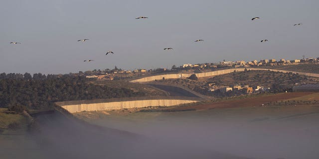 Storks fly over a section of Israel's separation barrier between the Israeli Kibbutz Kramim and the West Bank village of Arab al Fureijat Sunday, April 10, 2022. 