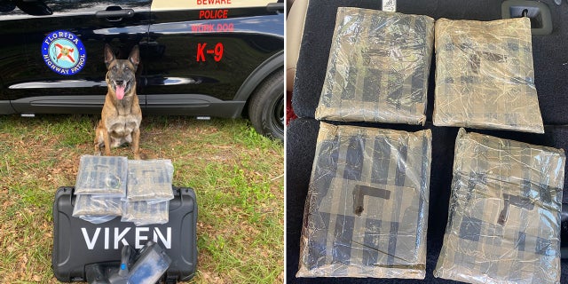 Florida Highway Patrol K-9 Titan alerted troopers to 5.5 pounds of heroin, worth nearly $700,000, inside the vehicle.