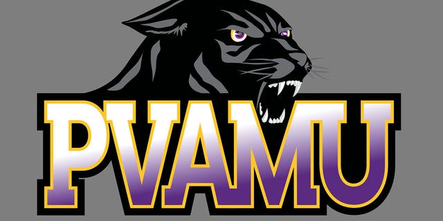 Prairie View A&amp;M University Panthers logo, graphic element on gray