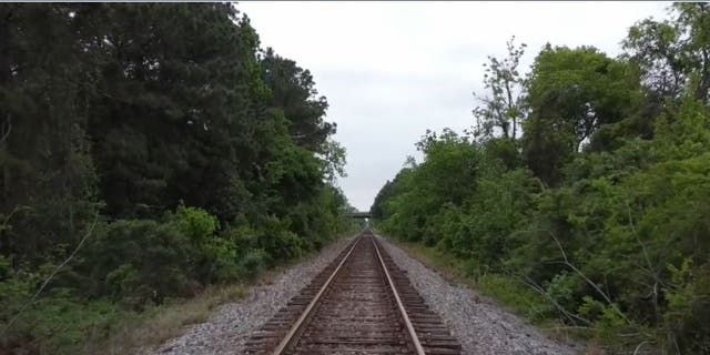 Photo of railroad tracks where Diva and Murphy were found dead