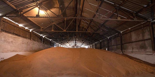 Un magazzino di grano appartenente a Ivan Kilgan, capo del villaggio dell'associazione agricola regionale, nel villaggio di Luky, nell'Ucraina occidentale, 25 marzo 2022. 