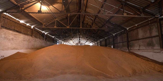 A wheat warehouse belonging to Ivan Kilgan, head of the regional agricultural association village, in Luky village, in western Ukraine, March 25, 2022. 