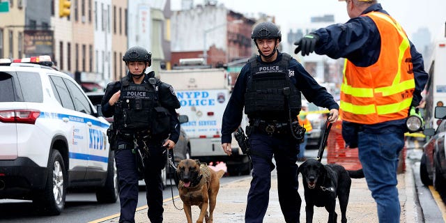 Officers with bomb-sniffing dogs look over the area after a shooting on a subway train Tuesday, April. 12, 2022, in the Brooklyn borough of New York.(AP Photo/Kevin Hagen)