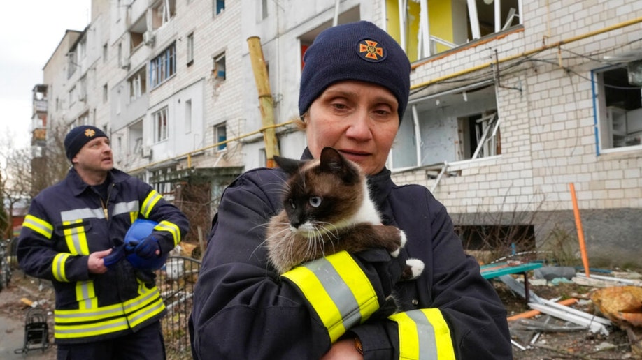 An emergency worker holds a Borodyanka cat