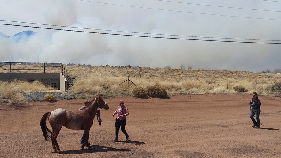 Horses and people amidst smoke outside Flagstaff