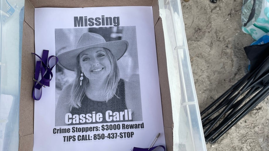 Missing Florida mom Cassie Carli