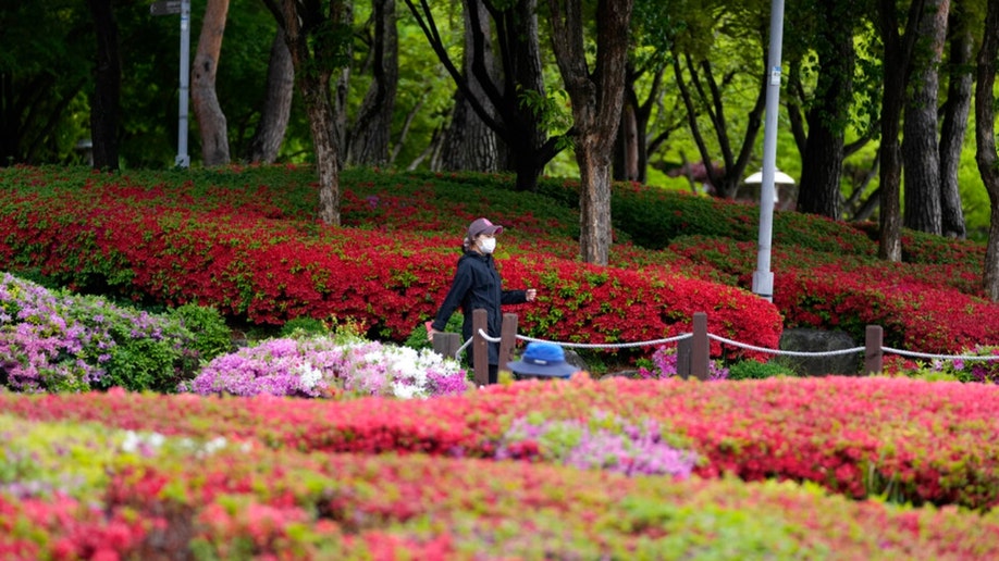 A woman wearing a face mask walks in a park in South Korea