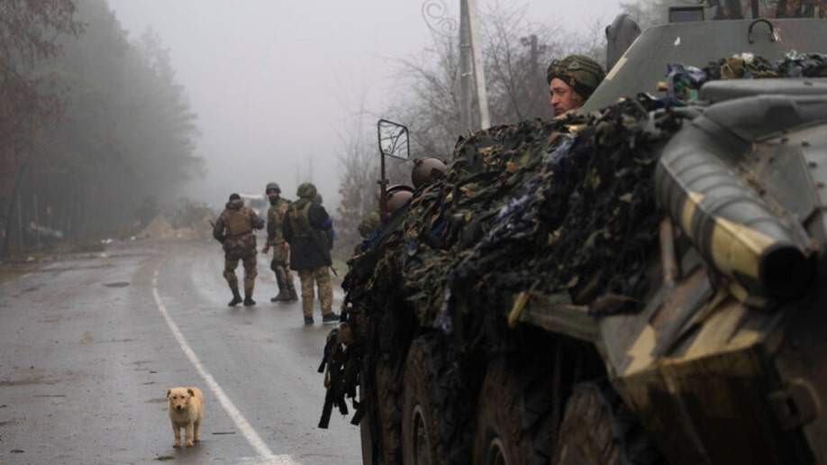 A dog and Ukrainian army soldiers