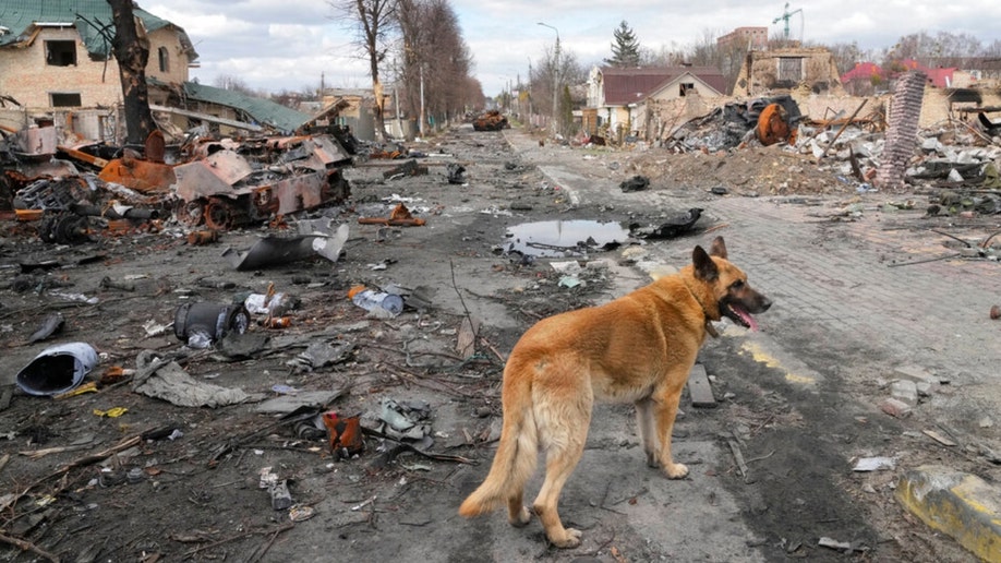 A dog runs by destroyed houses and Russian military vehicles in Ukraine.