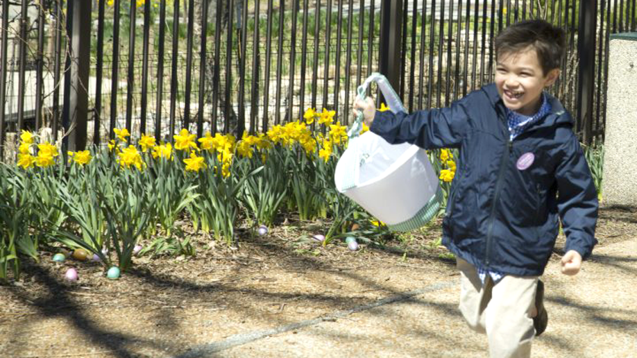 Child with easter basket at lincoln park zoo