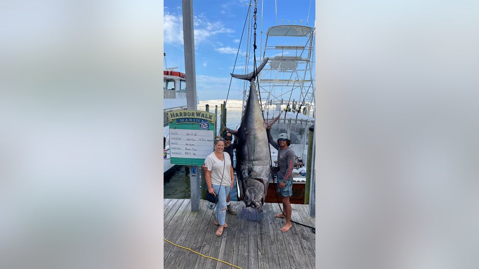 Massive 832-pound bluefin tuna caught off Florida coast