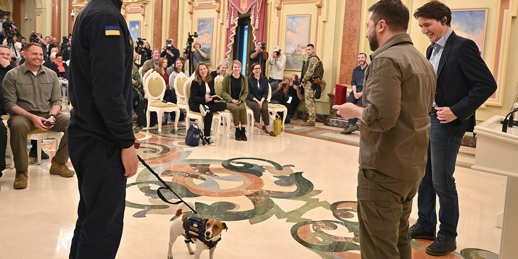 Bomb-sniffing Jack Terrier awarded service medal by Ukraine's Zelenskyy - Vimarsana News