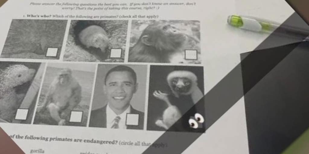 Michigan school that passed 'anti-racism resolution' suspends teacher for worksheet comparing Obama to monkeys - Vimarsana News