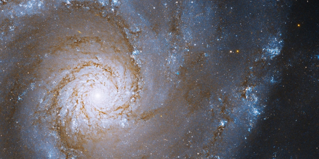 NASA Hubble Space Telescope captures a stunning spiral galaxy - Vimarsana News