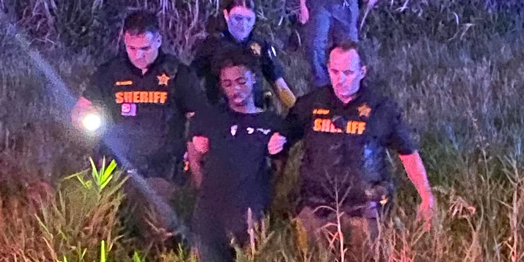 Florida man leads cops on 6-county, 178 mph chase before being captured by K-9 named Zorro - Vimarsana News