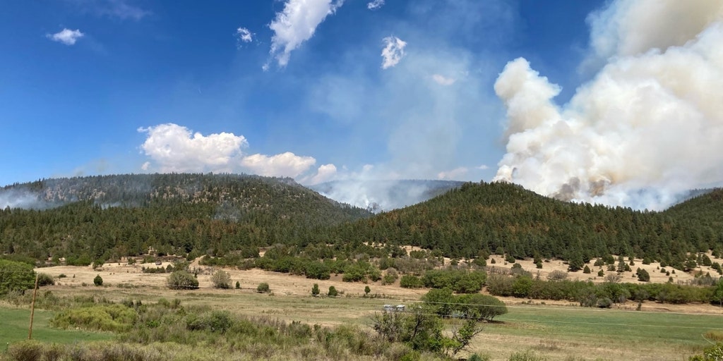 As weather shifts, fire in New Mexico nears 50% containment - Vimarsana News