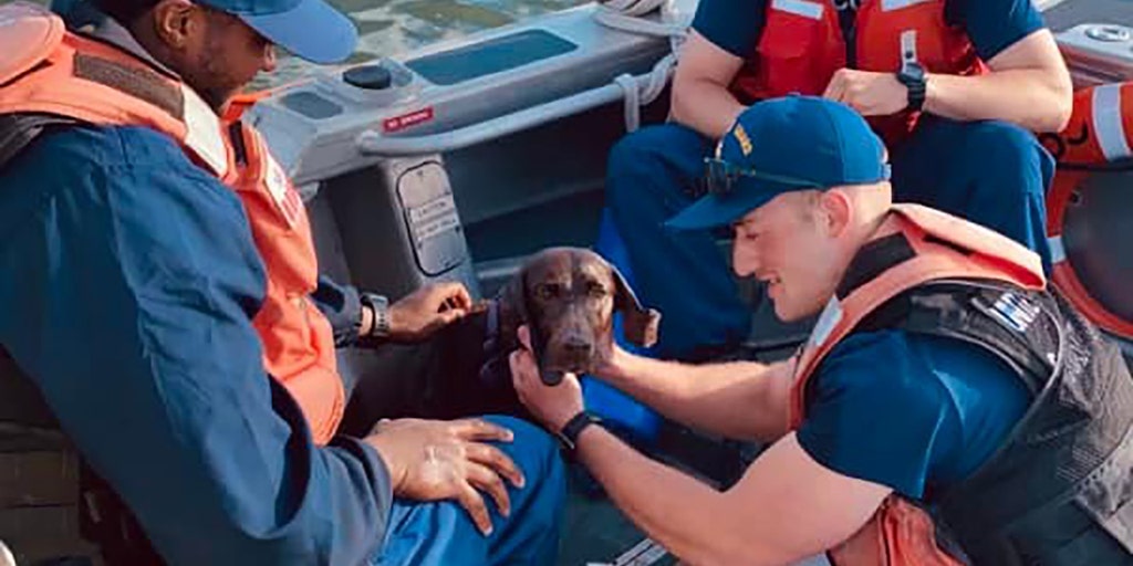 Coast Guard discharging unvaxxed members, allegedly denying promotions despite religious exemption requests - Vimarsana News
