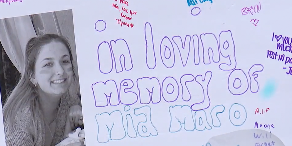 Death of Illinois high school student, 17, ruled homicide - Vimarsana News