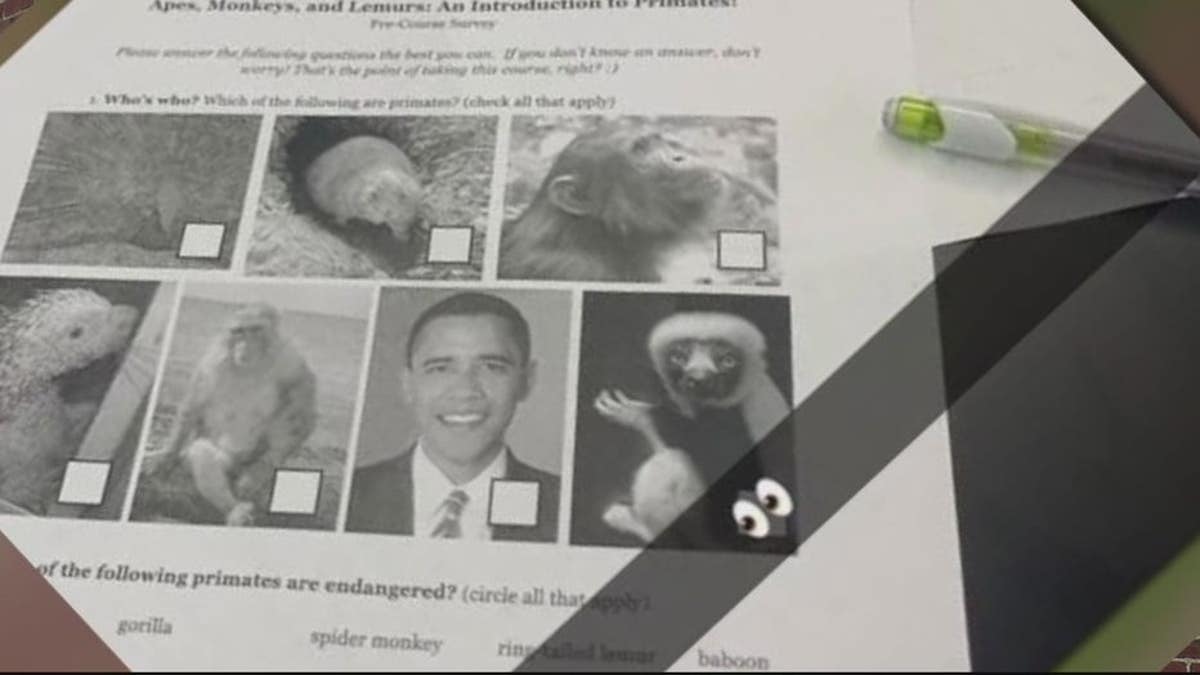 School work comparing Obama to monkeys
