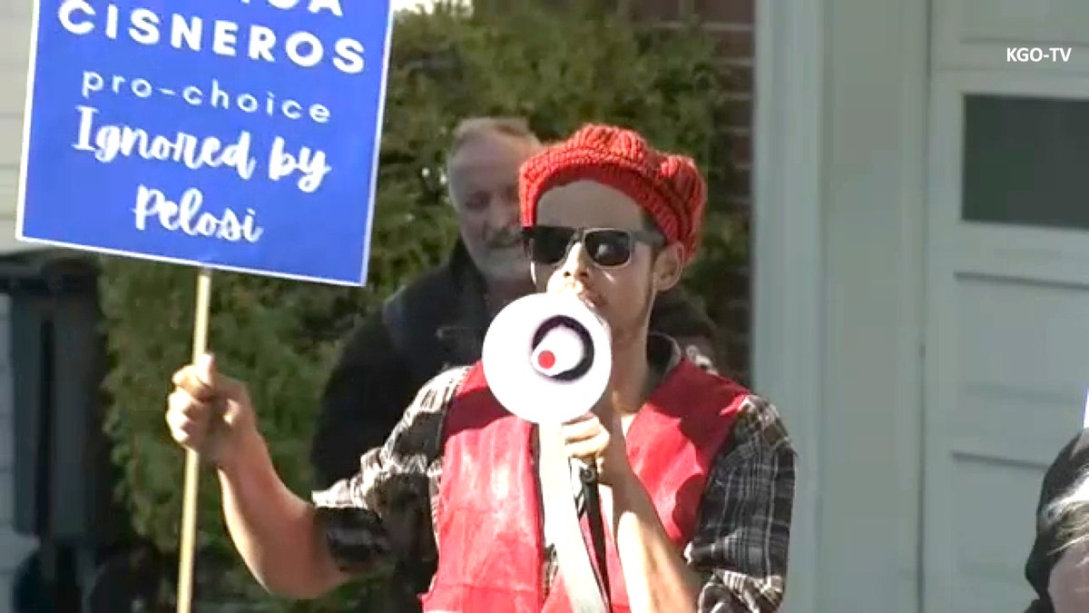 Protest at Nancy Pelosi's house