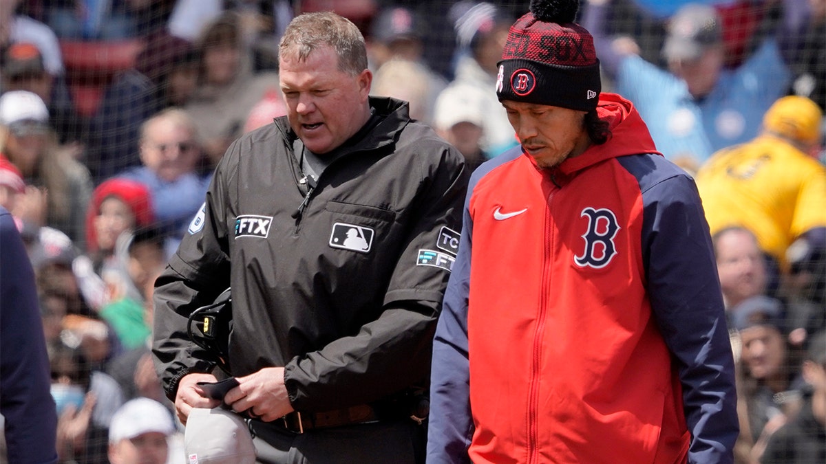 MLB umpire Ron Kulpa