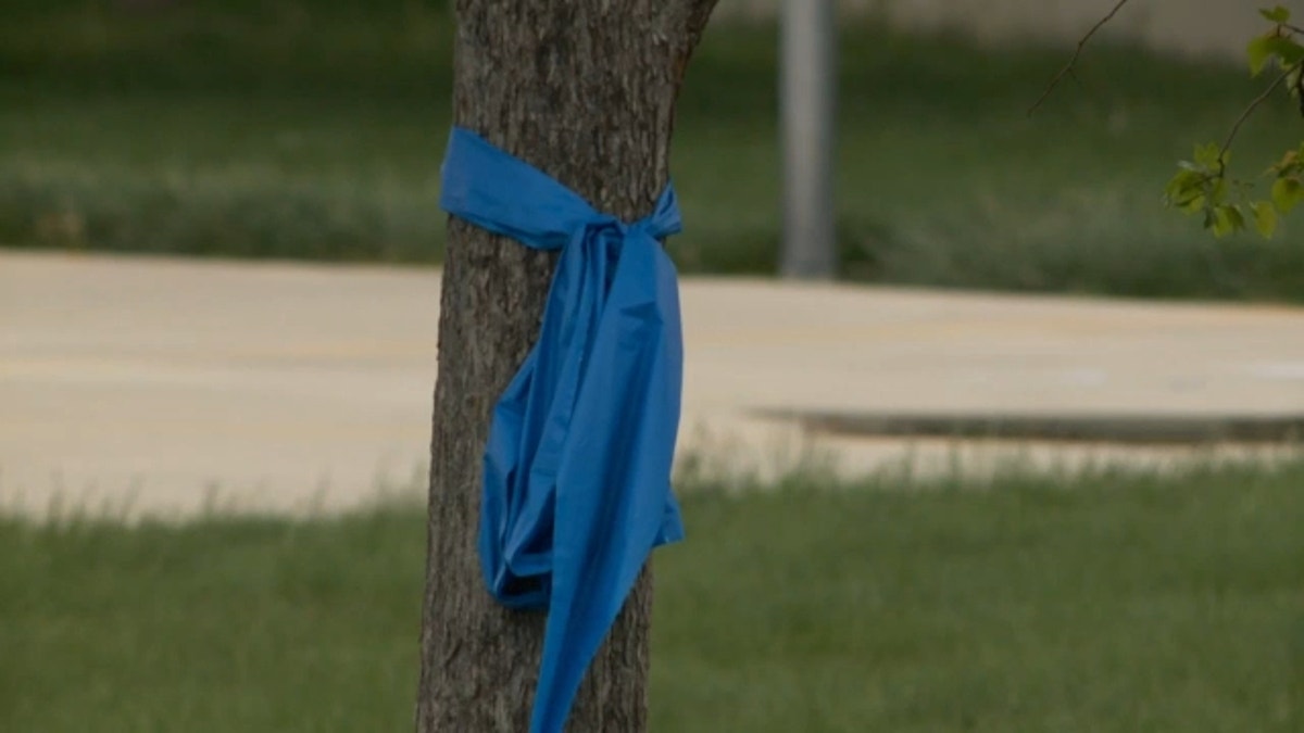 Springville residents paid tribute to Lily Conroy with blue ribbons.