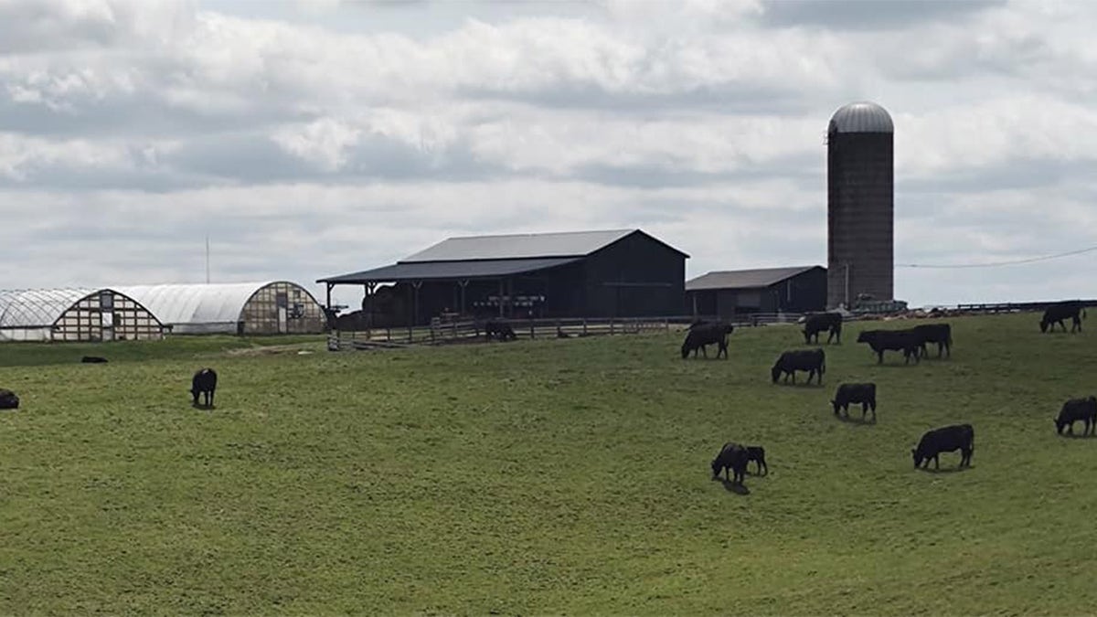 Kentucky countryside