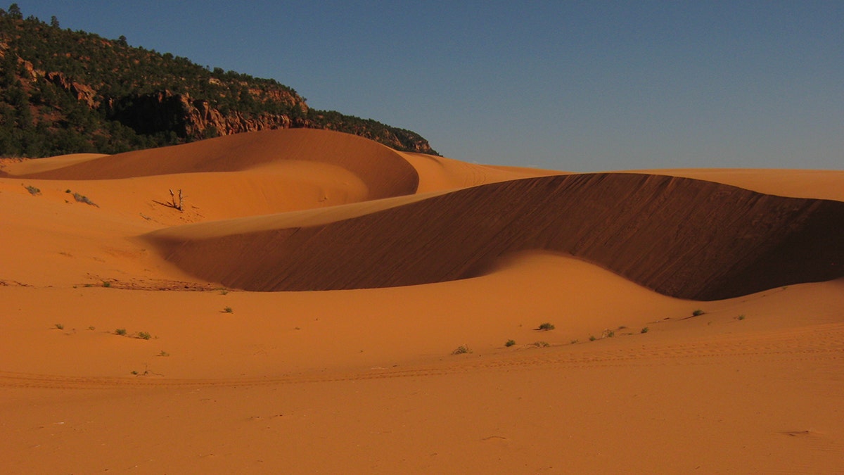 Coral Pink Sand Dunes State Park