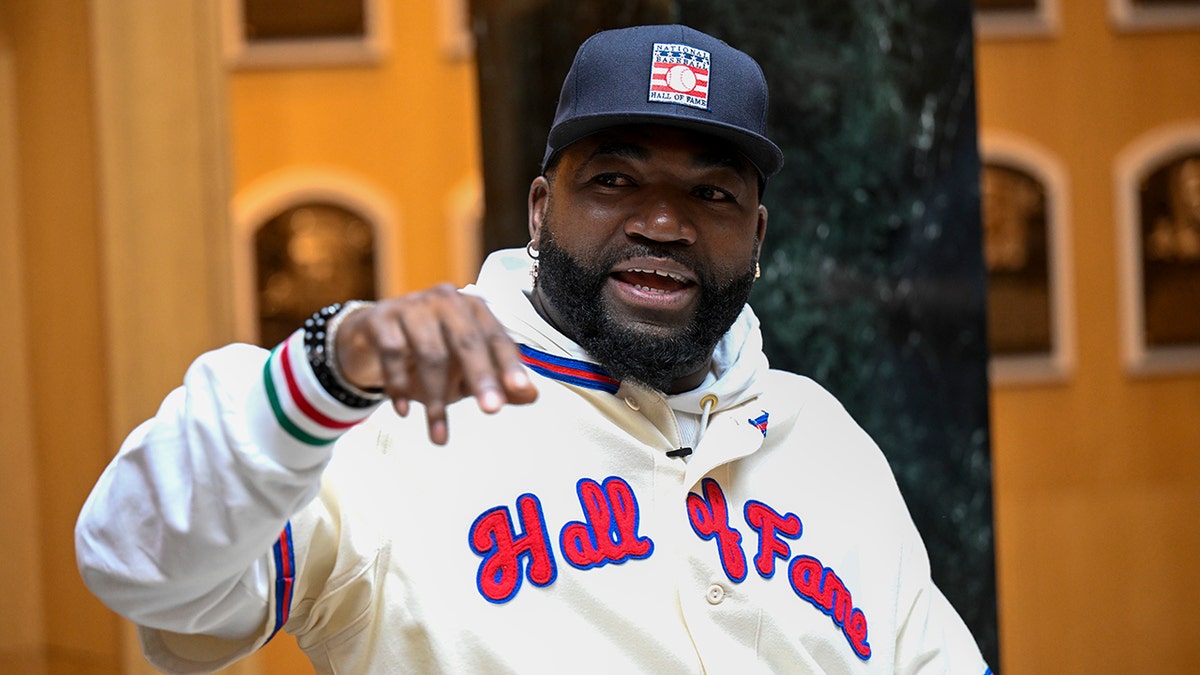 David Ortiz