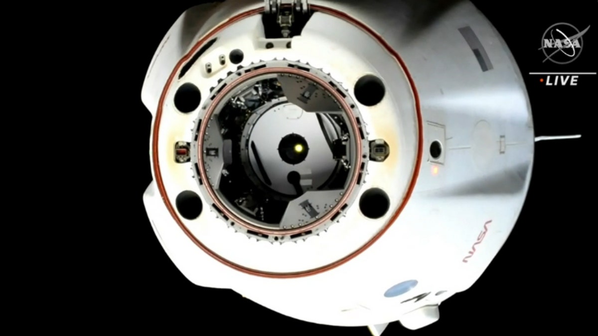 SpaceX Dragon Endurance