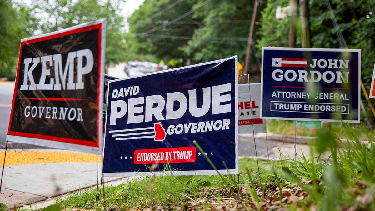 Campaign signs in Georgia election primary