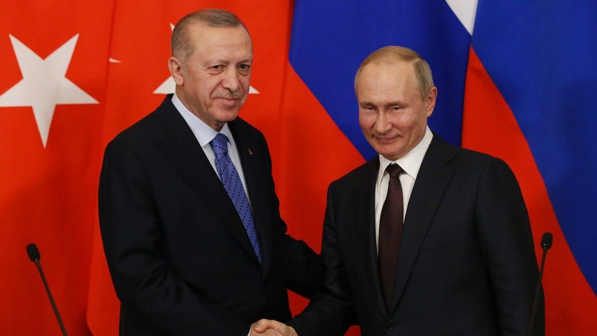 Erdogan and Putin shaking hands