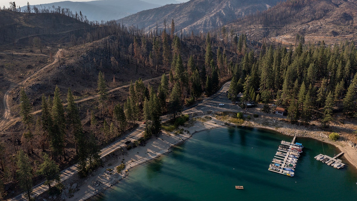 In an aerial view, forest that was burned by the Creek Fire, which began on September 4, 2020 and was fully contained on December 24, abuts Shaver Lake on July 14, 2021 near Shaver Lake California.