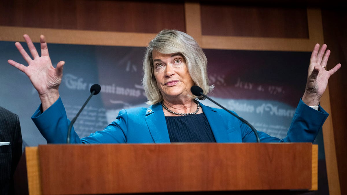 wyoming senator cynthia lummis speaks on capitol hill