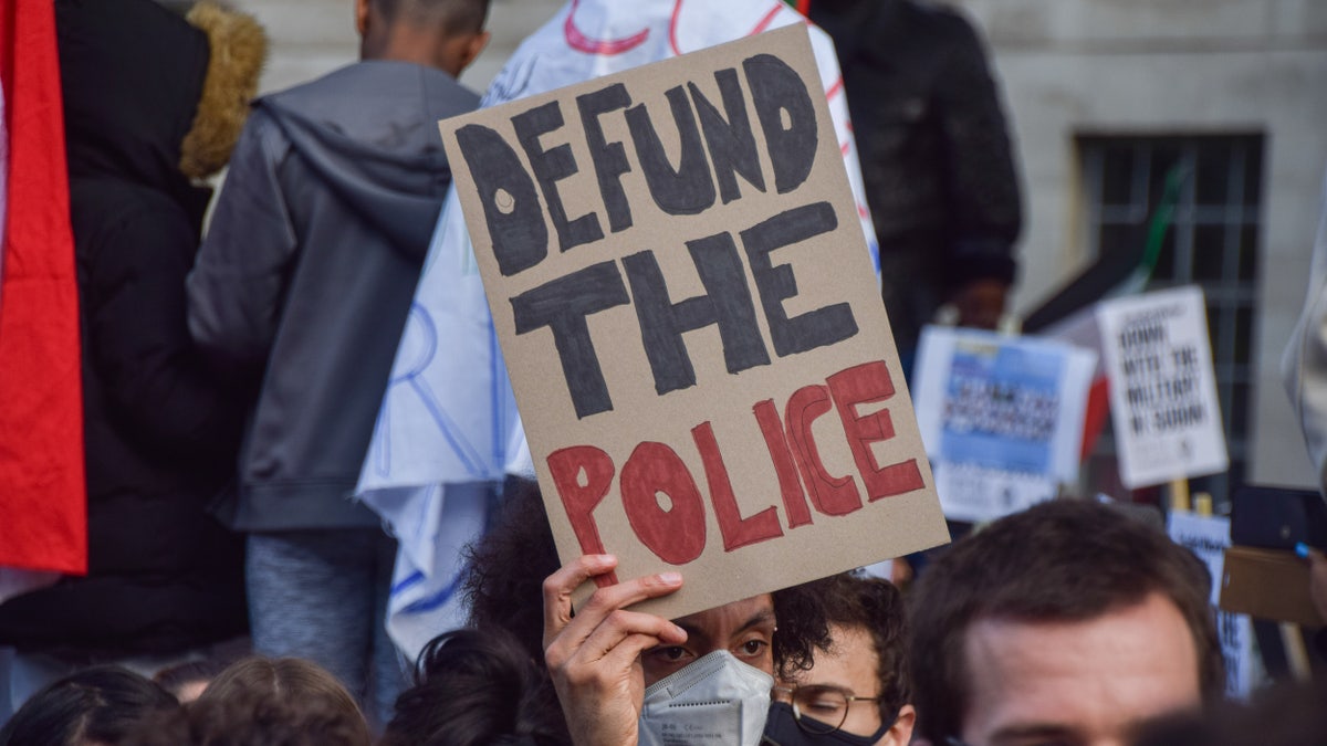 Defund the Police, democrats, buffalo shooting, Hannity