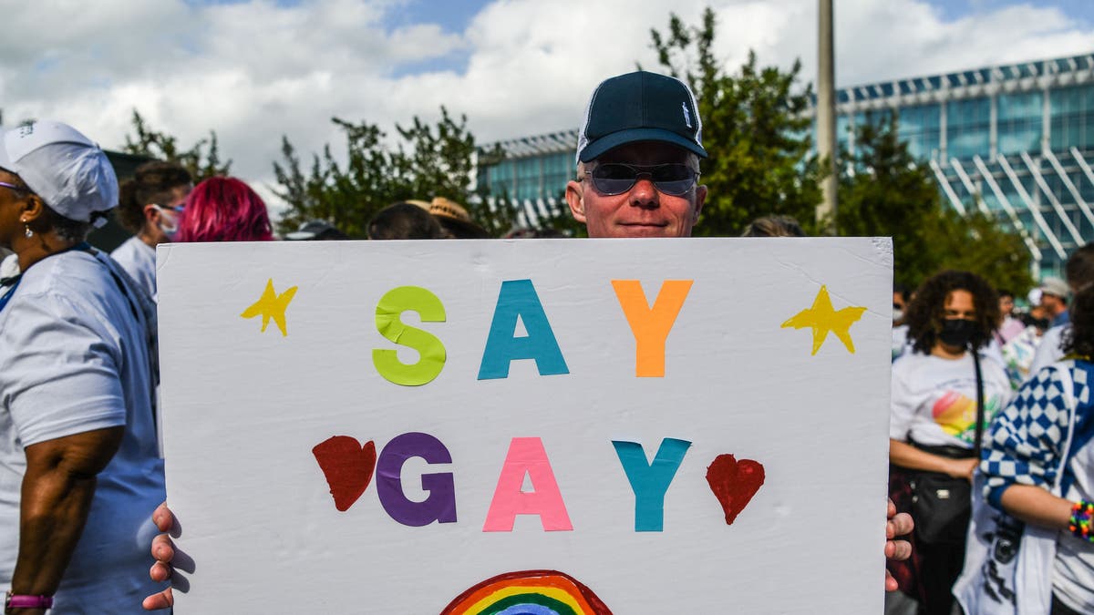 Pro-LGBTQ protester