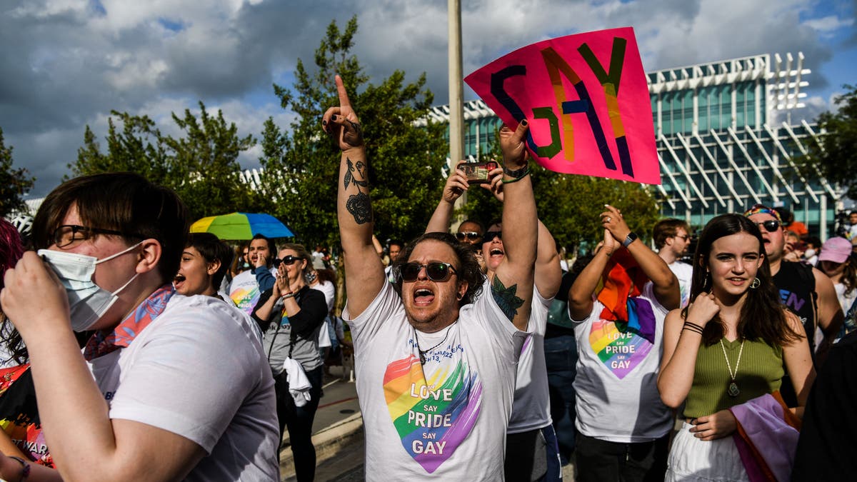LGBTQ activists protest against Florida parental rights bill with rainbow shirts reading "say gay"