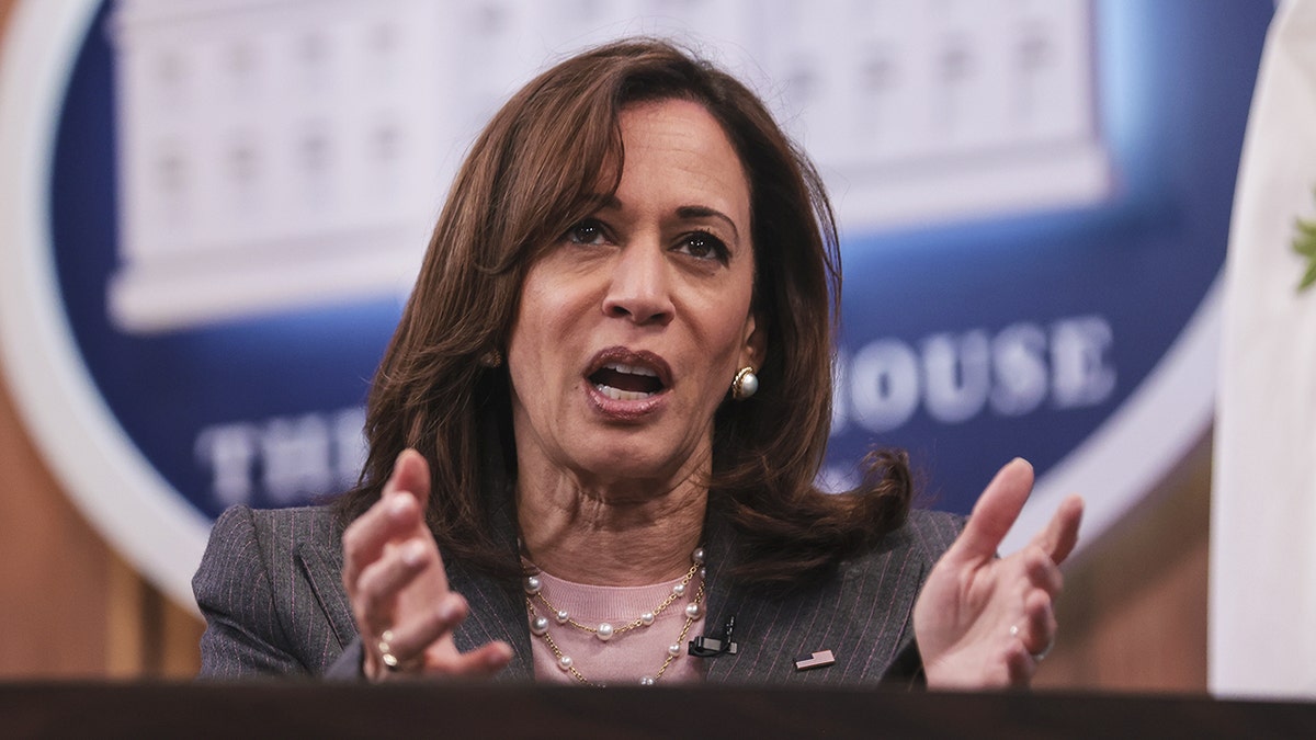 US Vice President Kamala Harris speaks